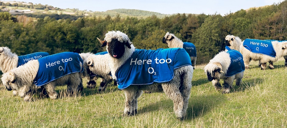 O2 expands ‘near or far’ campaign across the UK